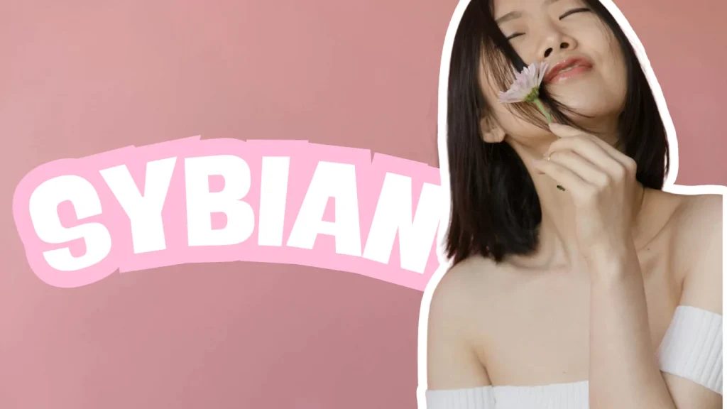 Sybian dans les love rooms bretonnes : l’expérience ultime du plaisir